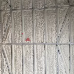 All Water Spray Surfactant